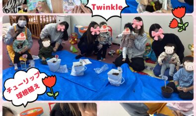 ⭐︎2024年11月Twinkleの様子⭐︎